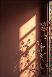 Window with aesthetic shadow